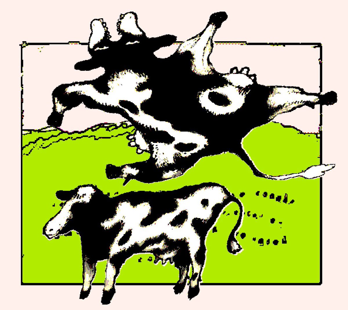 ｵｦﾀ1 tweet media