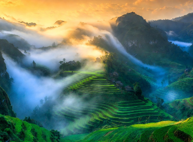AnnaAngel1908's tweet photo. "Layers of emerald dreams unfolding with the dawn. Vietnam’s hidden terraces  #VietnamVibes #RiceTerraceMagic" https://t.co/1NWWvVIQNf
