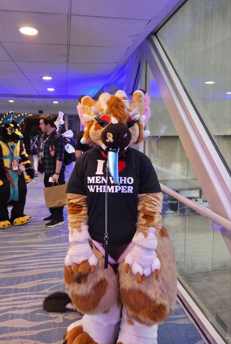 🍪 𝒦𝒪𝒪𝒦𝐼𝐸𝐸 🍪 tweet media