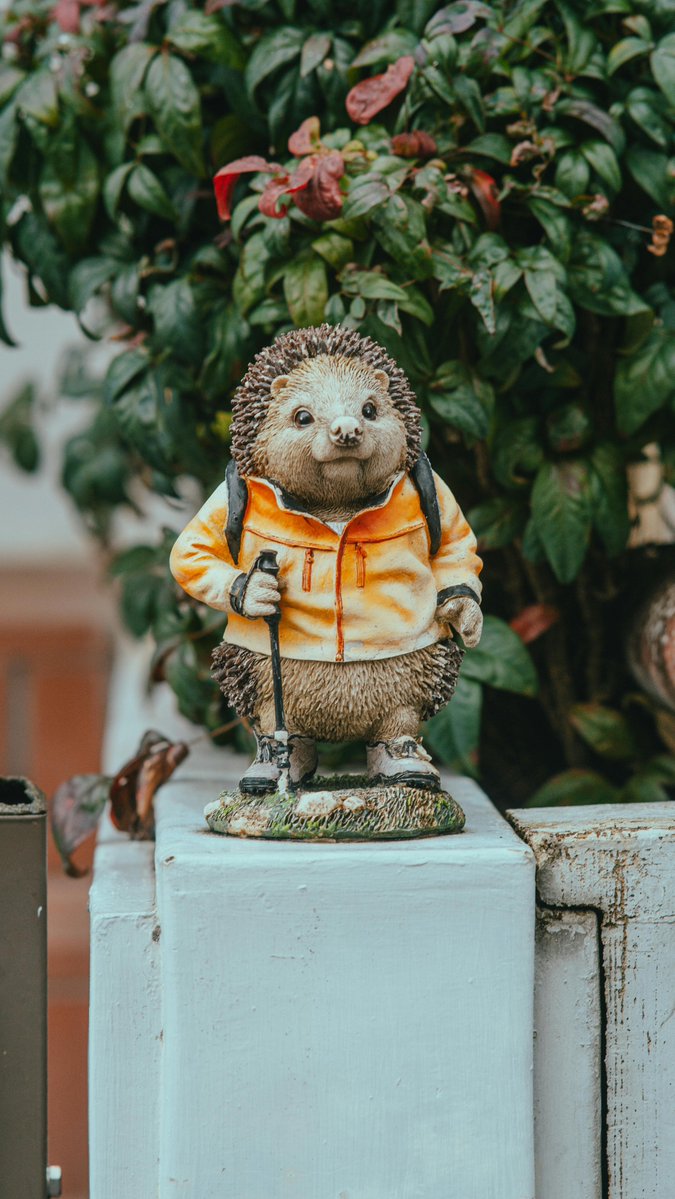 LawnDecorPro's tweet image. Bring the fun outside! 🌞 From playful décor to entertaining essentials, upgrade your outdoor space and make every moment more exciting. Shop now and turn your yard into a destination for fun and relaxation!

lawndecorpro.com

#OutdoorFun #BackyardVibes #PatioLife