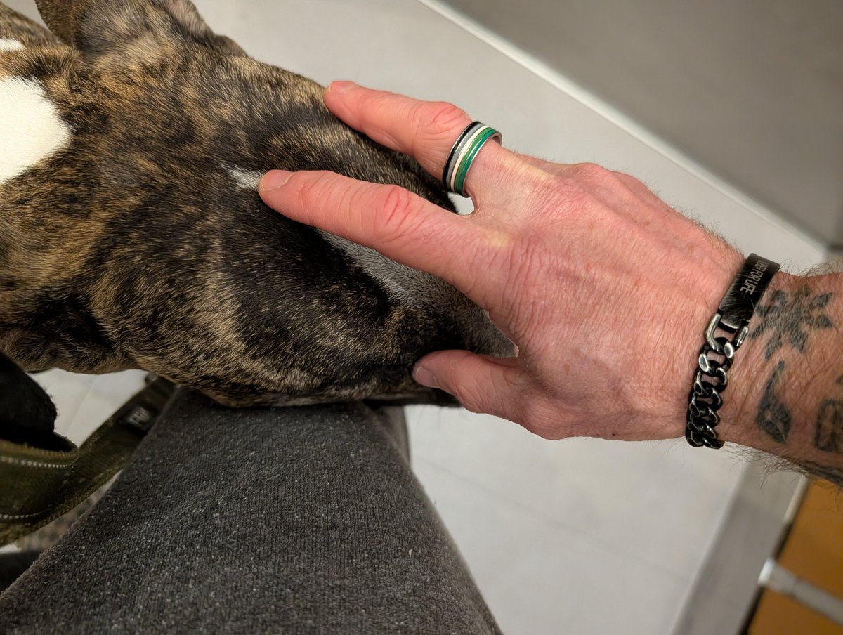 Goofy Foot 📏🌱♠️🕉❤️‍🩹🫟➕🐶 tweet media