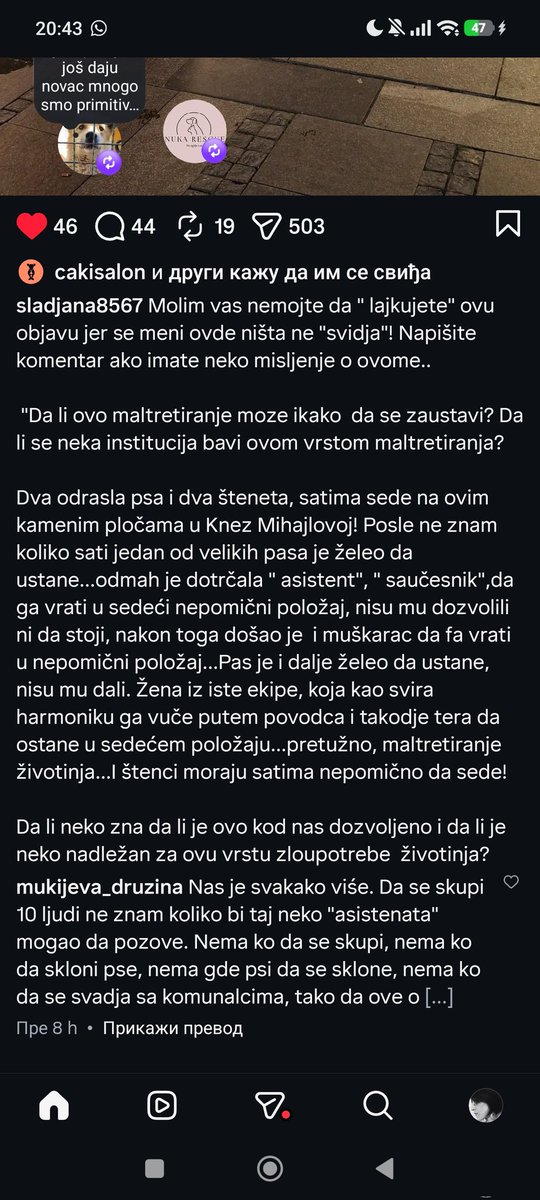 Kristal Met Dejmon (@sanjazivi) on Twitter photo 