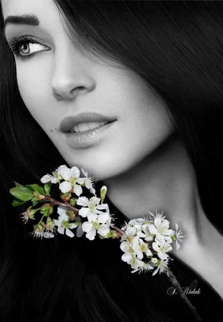 زهرة النرجس tweet media