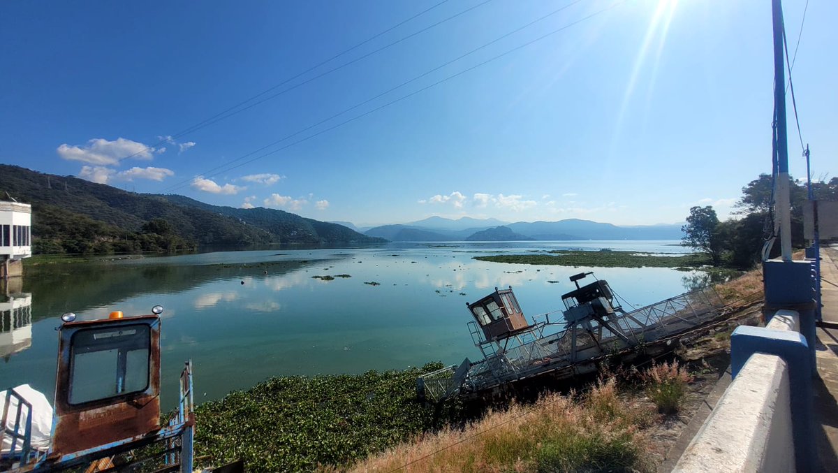 Observatorio Ciudadano tweet media