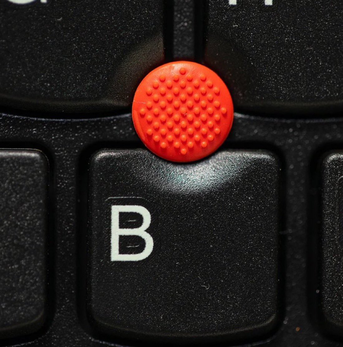 Dilara ben tweet media