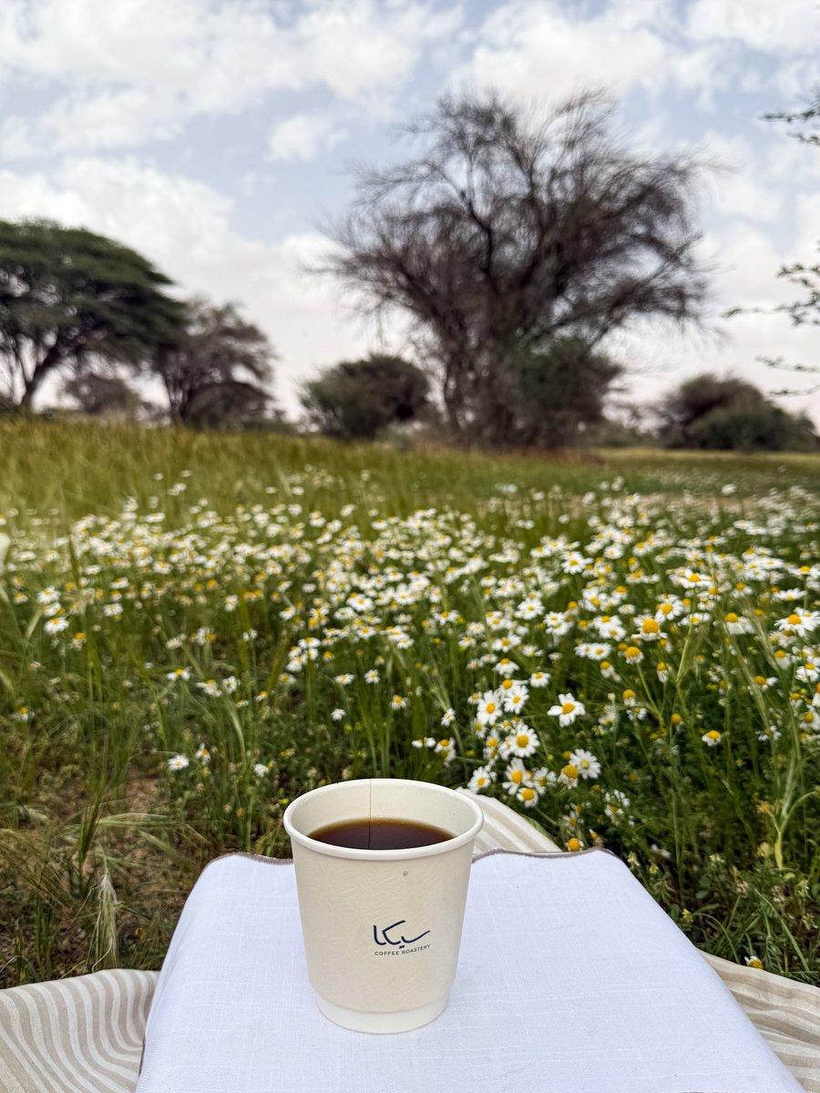 هِـند tweet media