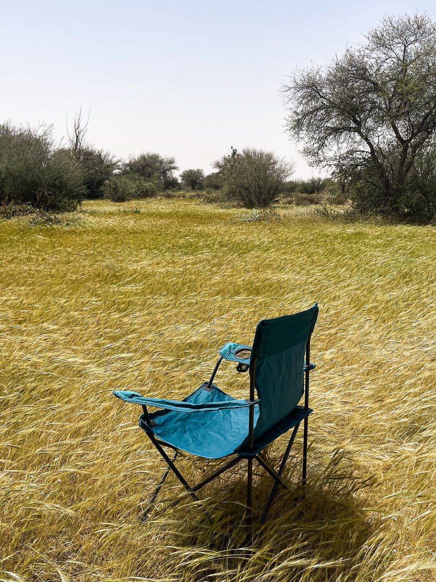 هِـند tweet media