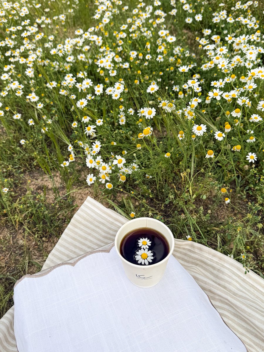 هِـند tweet media