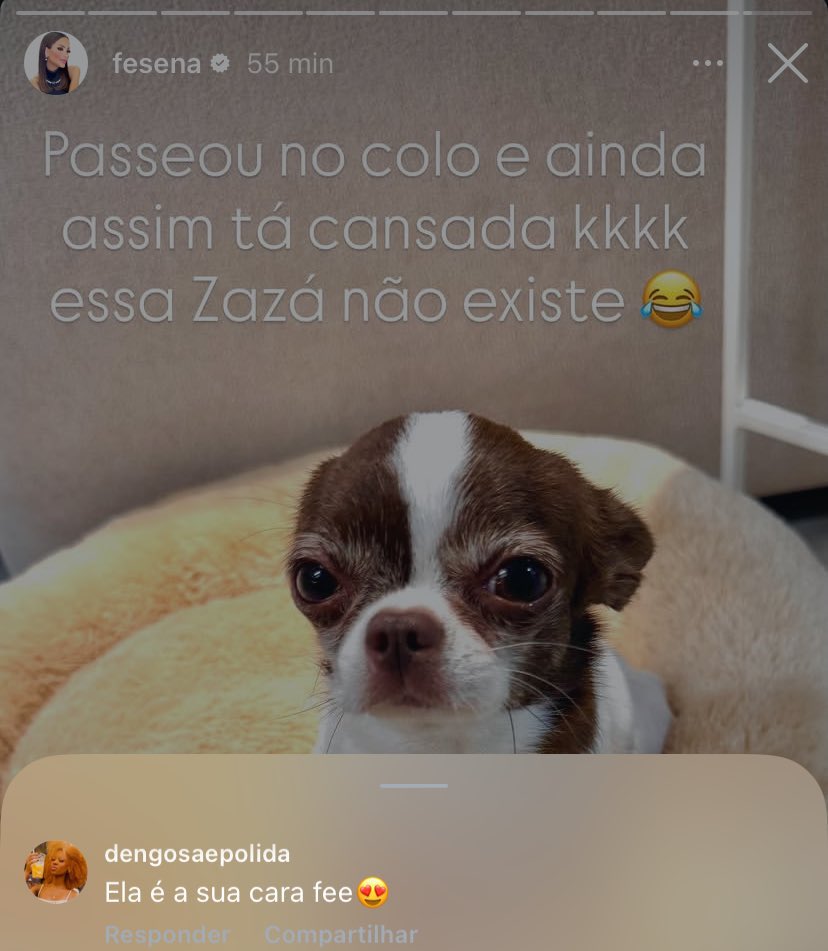 acervito fe sena tweet media