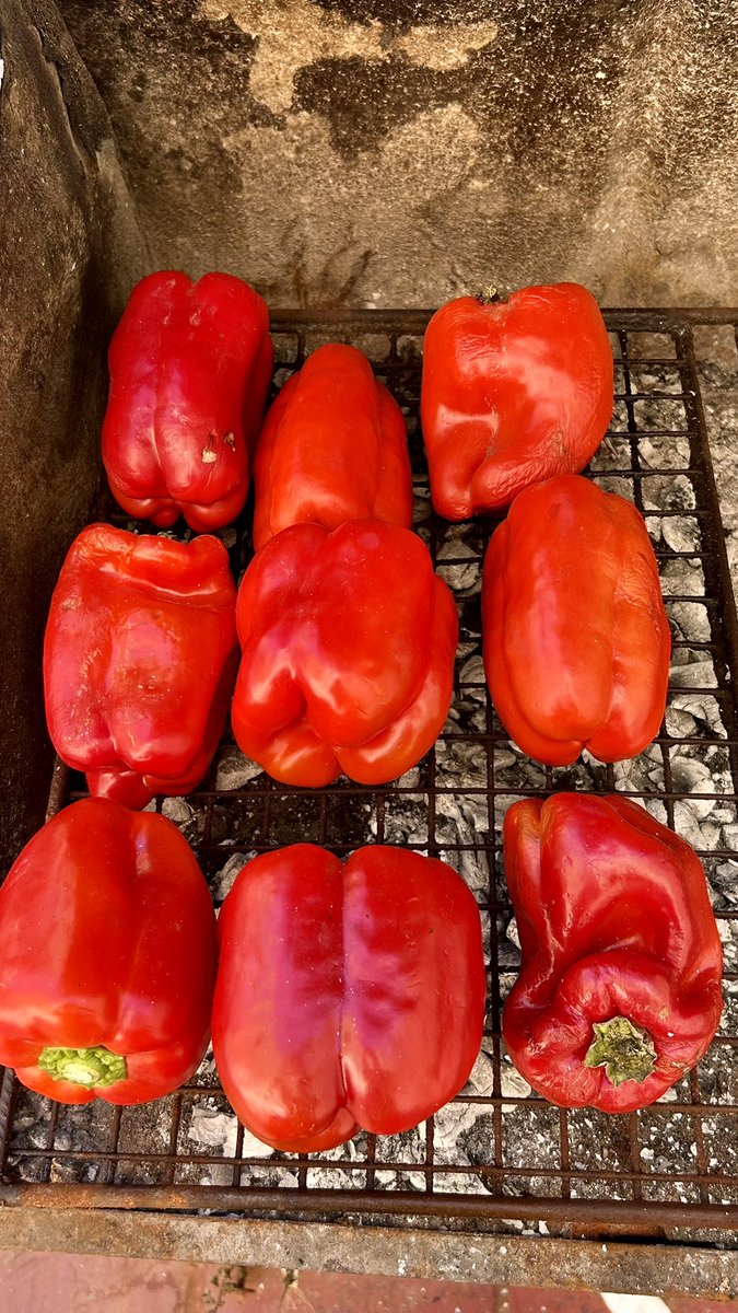 Facu Seara 🇦🇷 tweet media