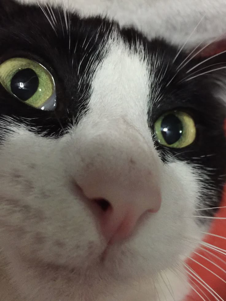 Salim 😏 tweet media