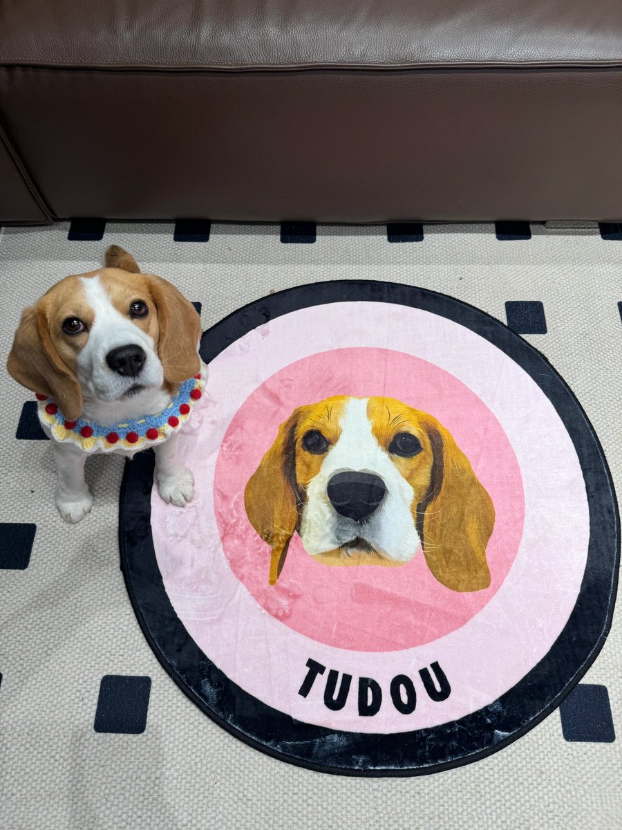 Linda Curington tweet media