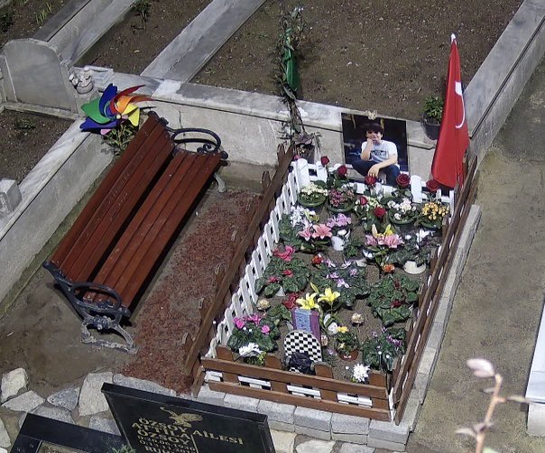 Aynur Akıncılar tweet media