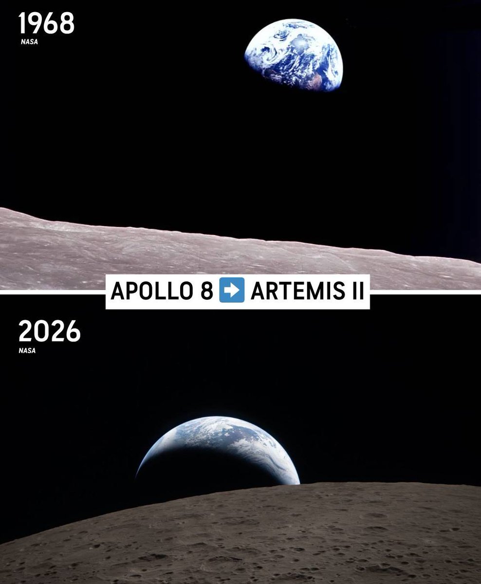 Matematiksel tweet media