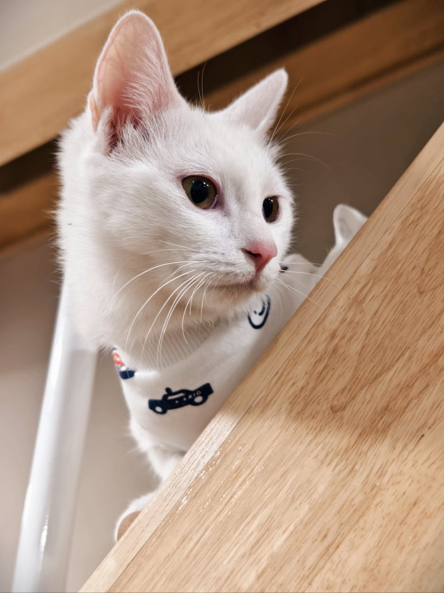 LAURENNNQUALLLSS tweet media