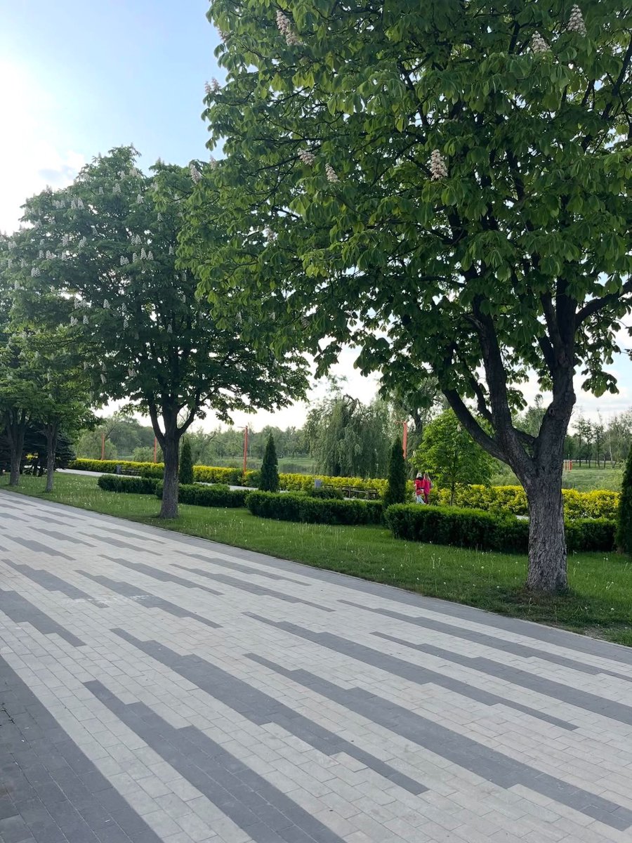 🌹яна східна tweet media