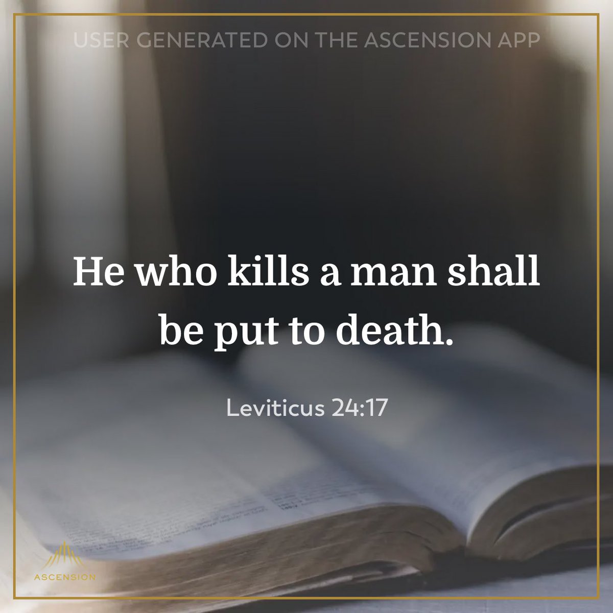 Phoebe Noelle McDonald tweet media