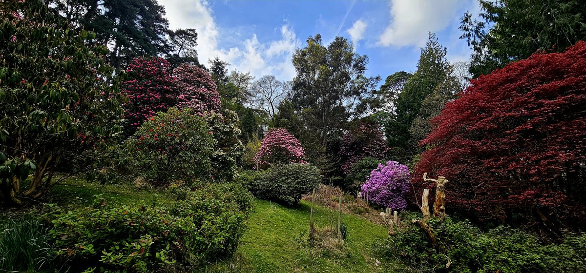 EvelDick tweet media