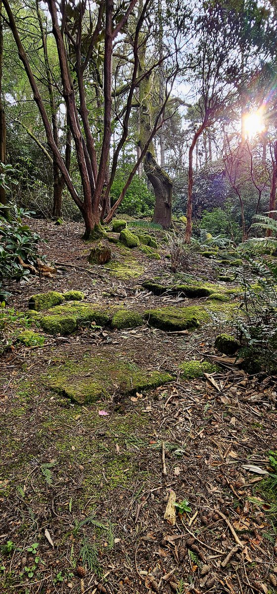 EvelDick tweet media