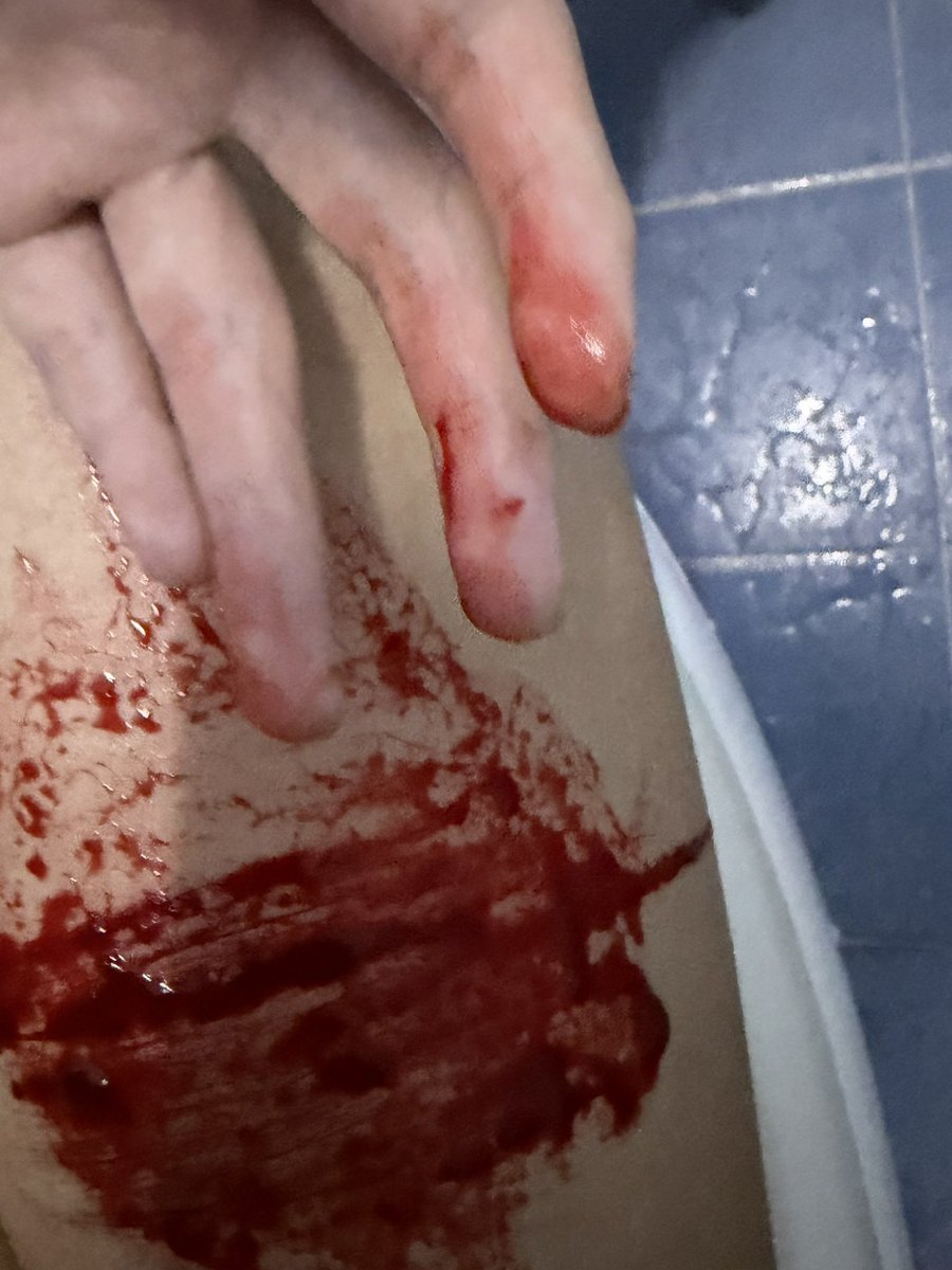 Felis / เฟลิส tweet media