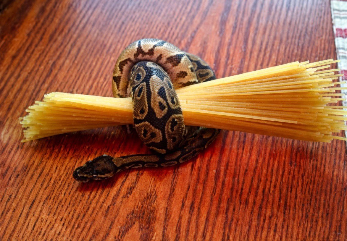 DAMI FOREIGN🥶 tweet media