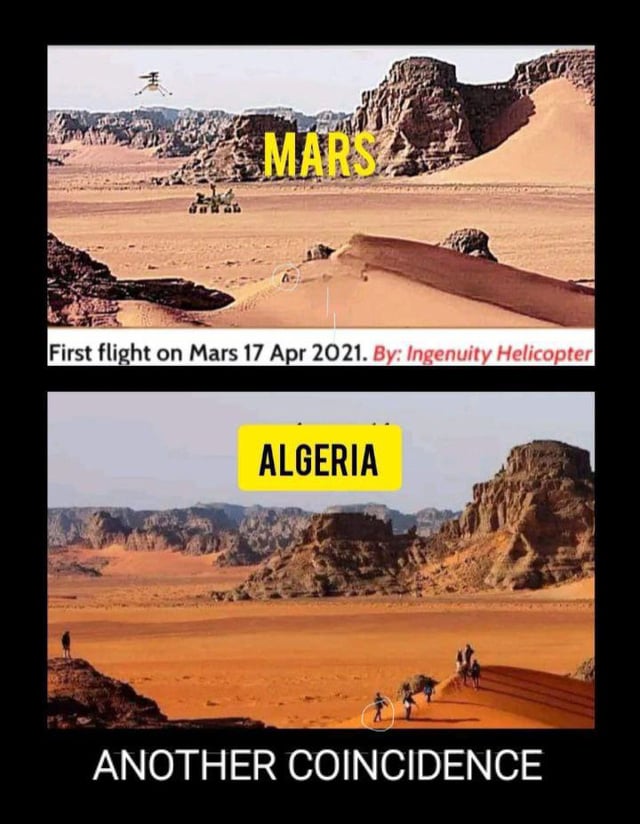 Zoom Afrika tweet media