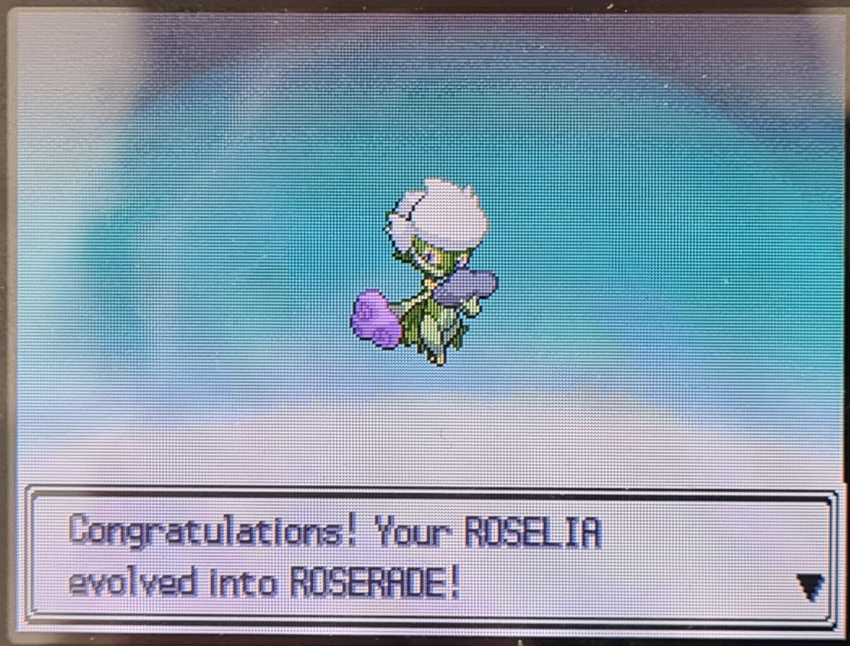 SH_J181's tweet photo. Shiny Budew, Platinum DTQ#3 After 12194 seen in eterna forest! https://t.co/p3NhYsJE1K