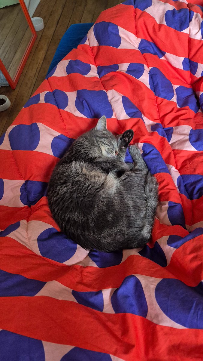 náthalynáthalynáthalynáthaly tweet media