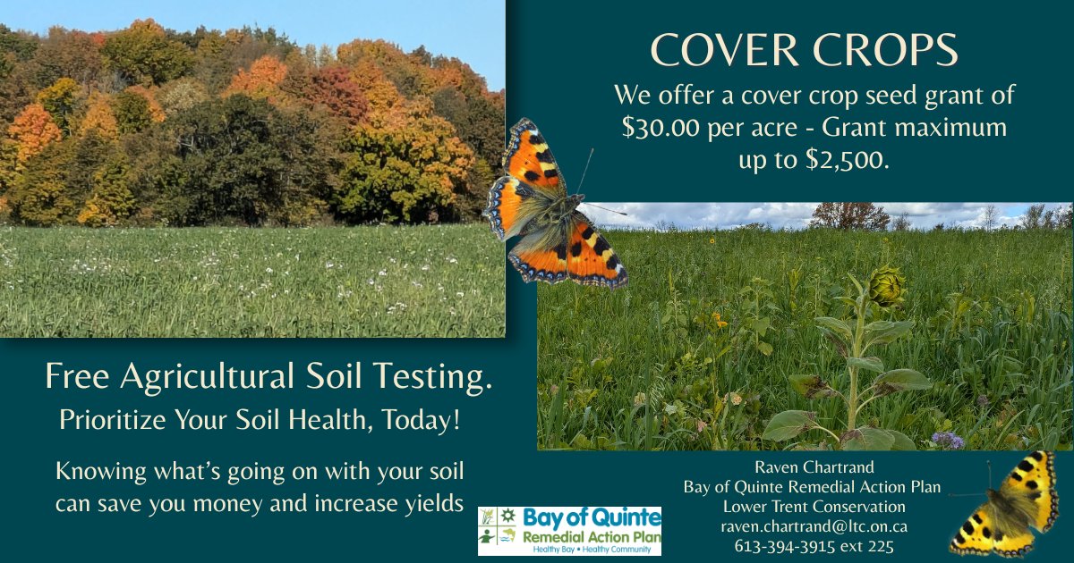 Bay of Quinte RAP tweet media