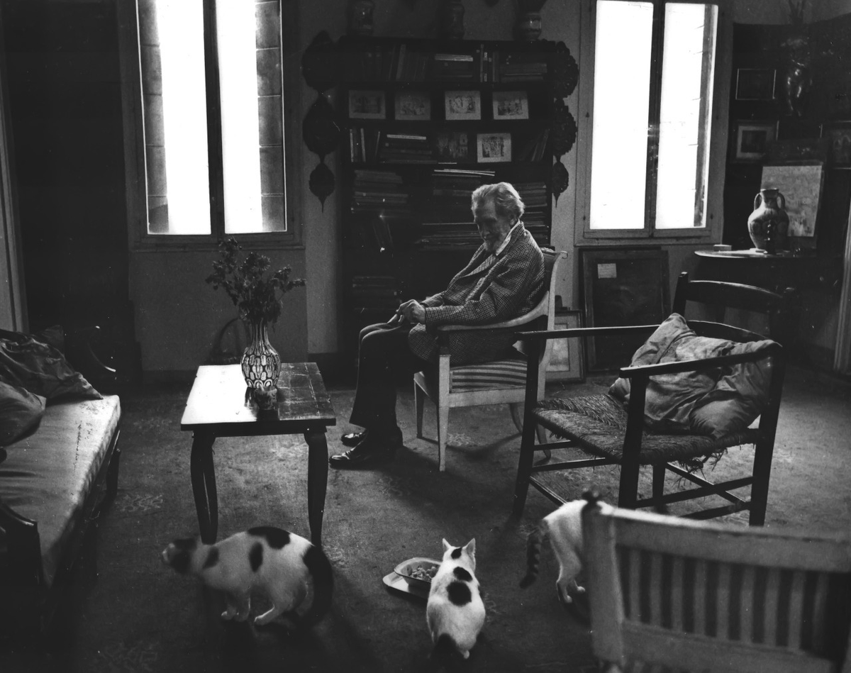 Nicolas G. Varela tweet media