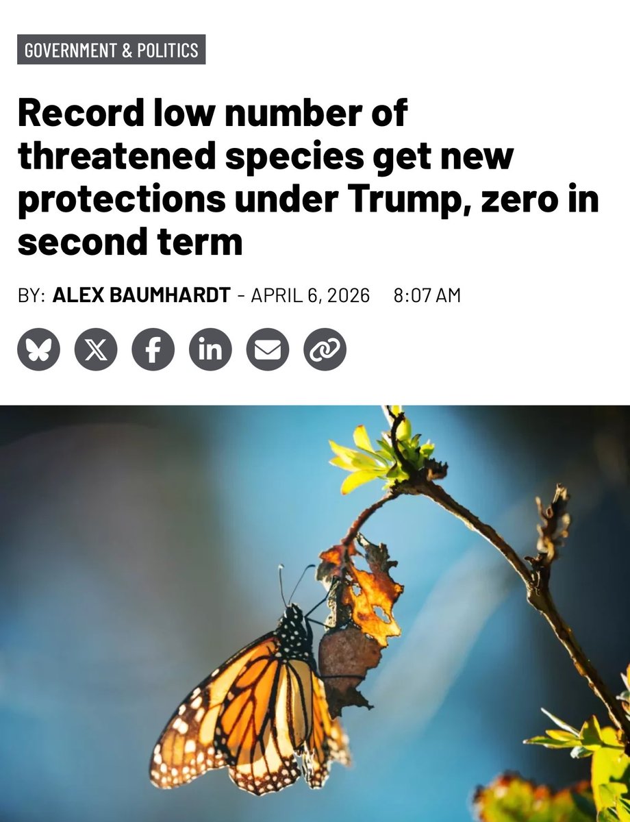 DrTOMontgomery's tweet image. #Wildlife

How many threatened species get new protection status in this Trump term?

A big fat zero 

Historically, he’s lowest of any US president

But don’t worry about the impact—they’re cutting the monitoring &amp;amp; research, so you won’t need to bother your little head about it