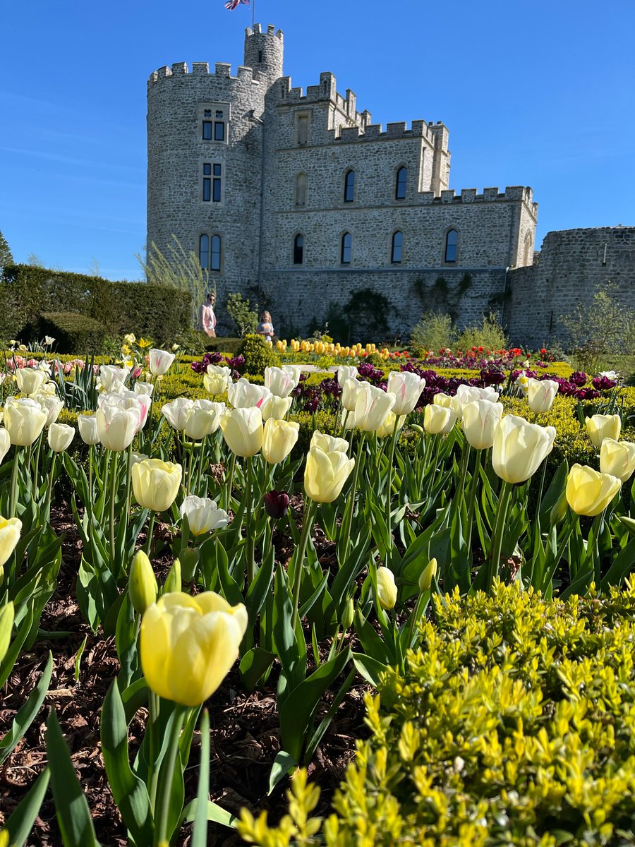 Fr. Felix Smith tweet media