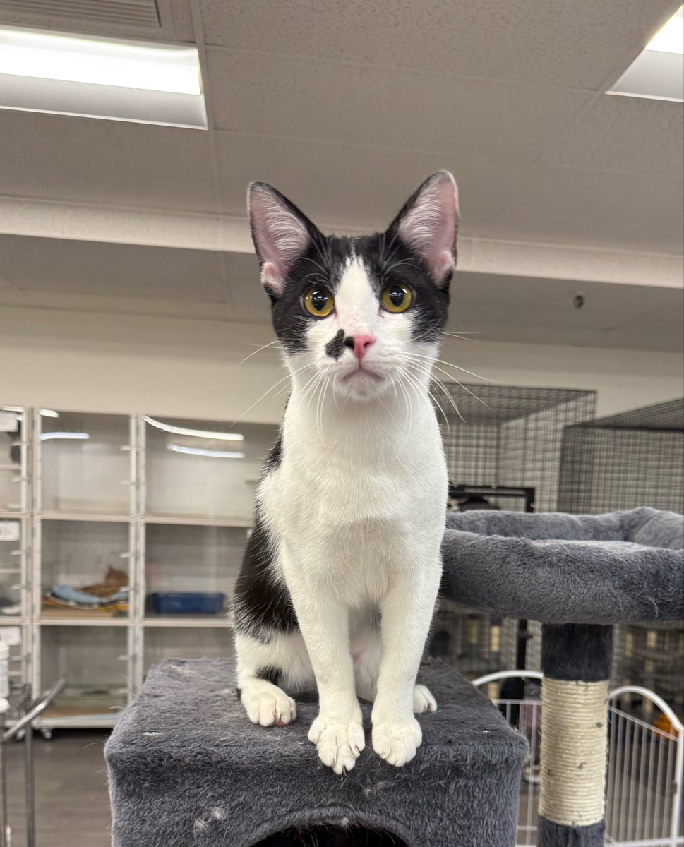 Sarah Fletcher tweet media