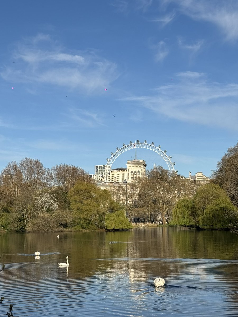 Fulufhelo Siphuma tweet media