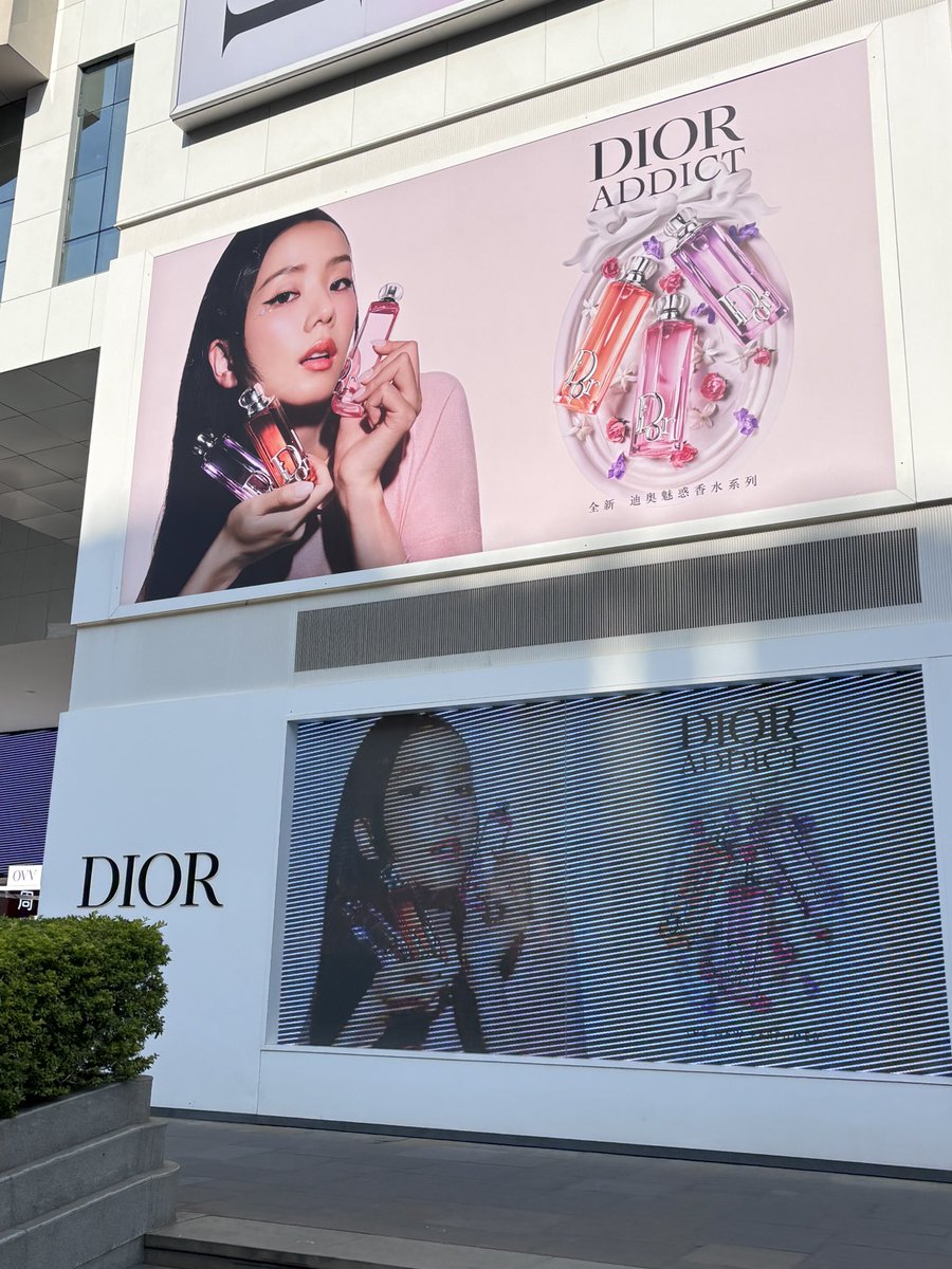 sooyas幸福指数 tweet media