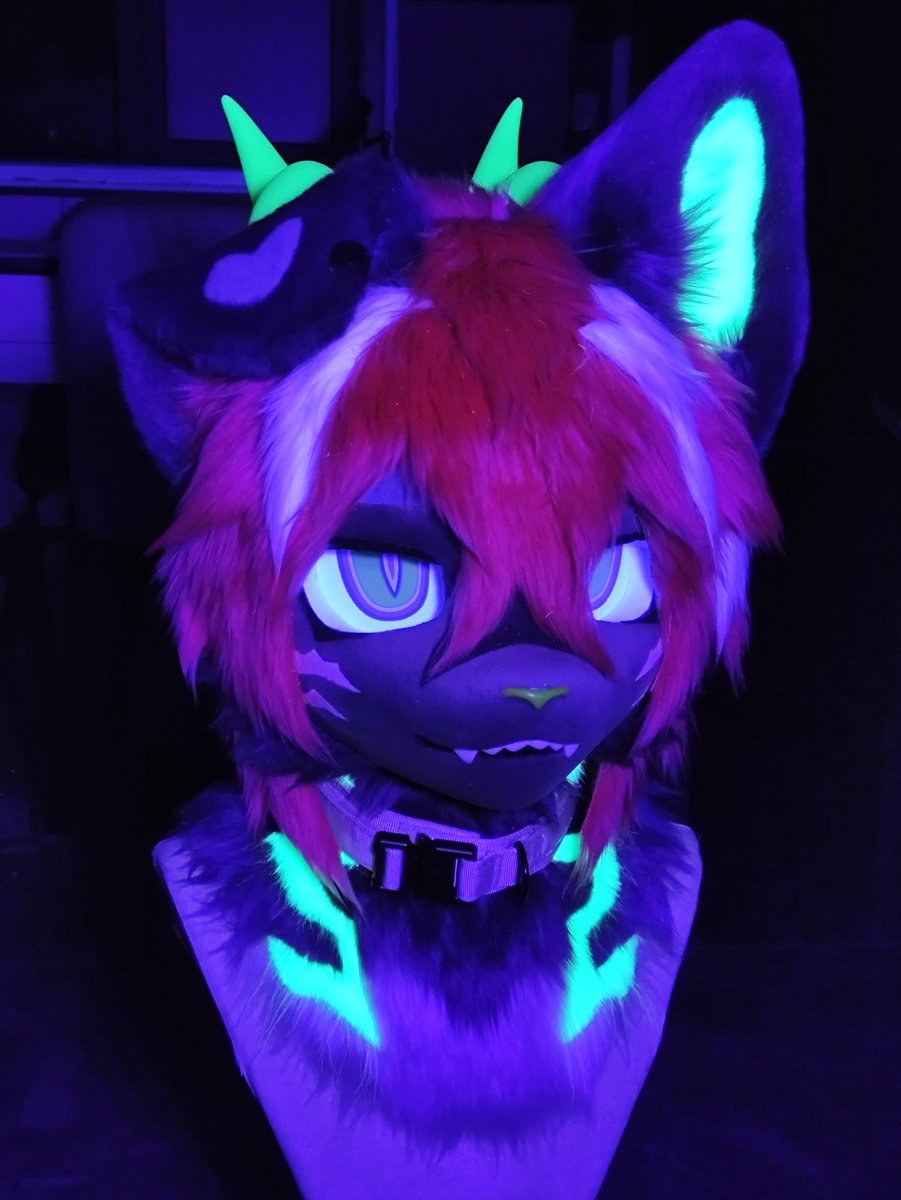 请对我说鸽子语 tweet media