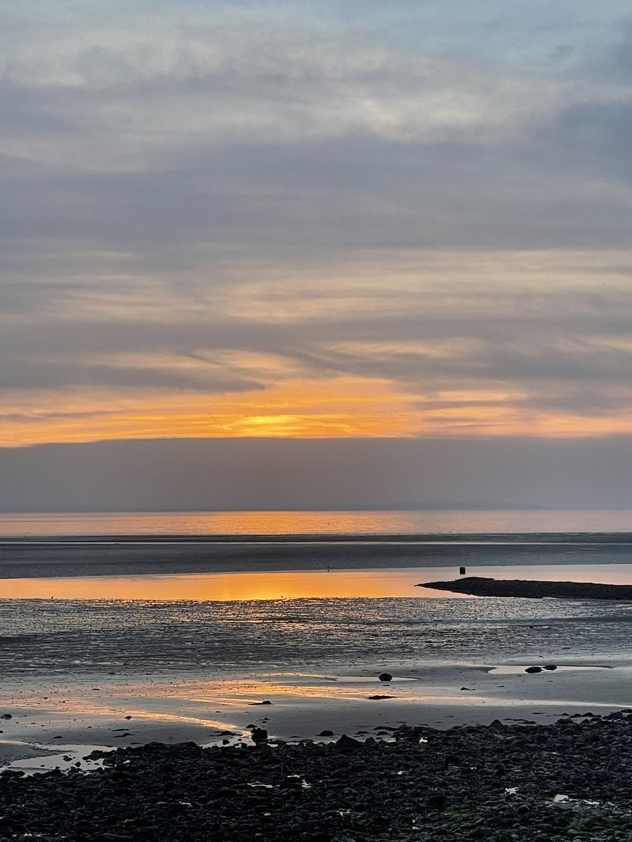 sheilaMol tweet media