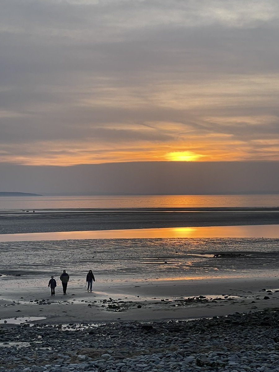 sheilaMol tweet media