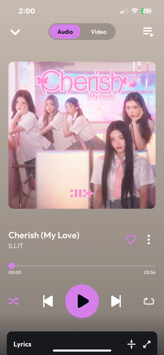 🫀 himiko tweet media