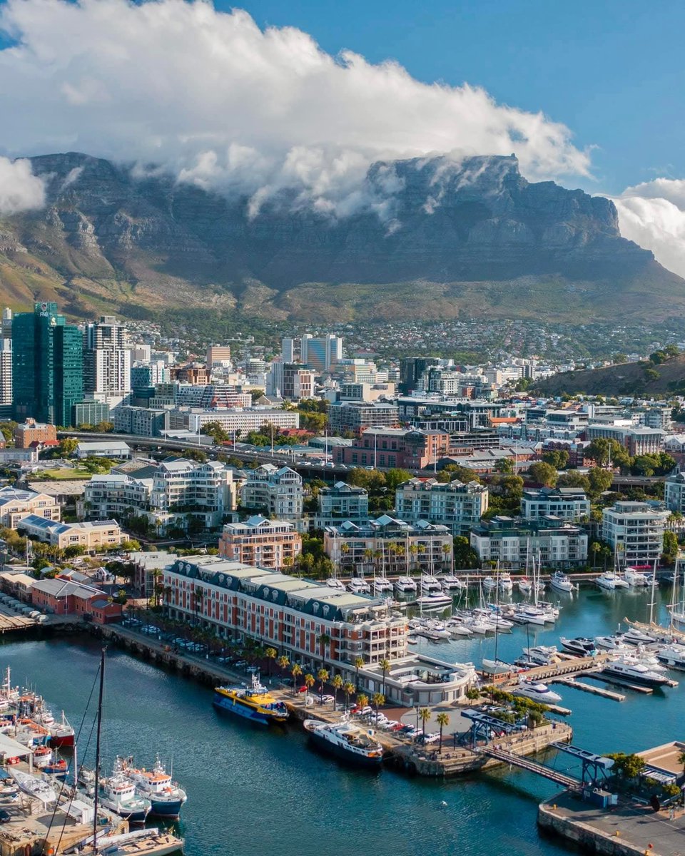 Africa First tweet media