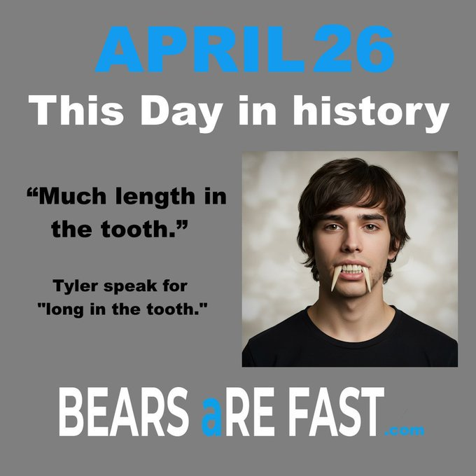 Bears Are Fast tweet media