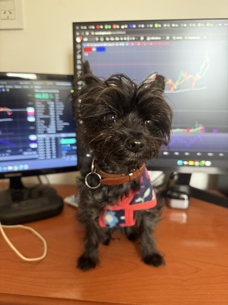 Germán🇦🇷 tweet media