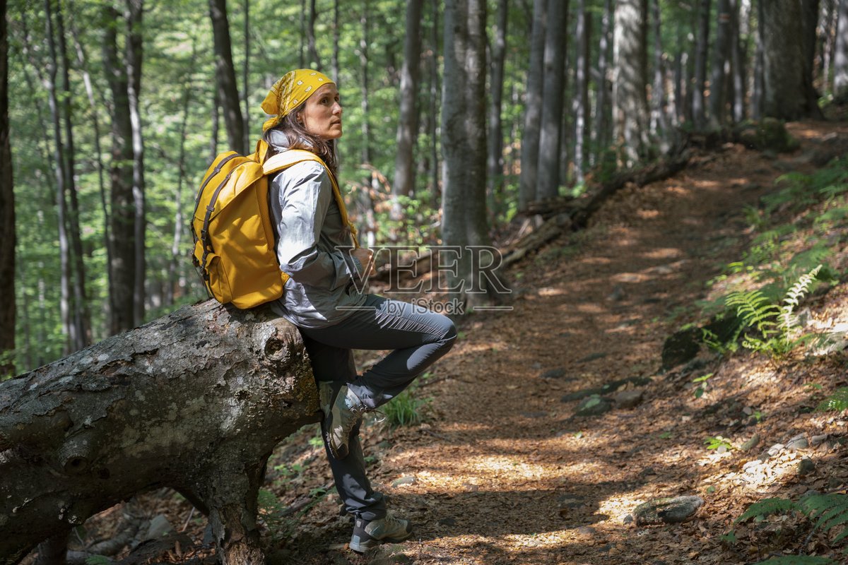 Viacheslaw Medvedev tweet media