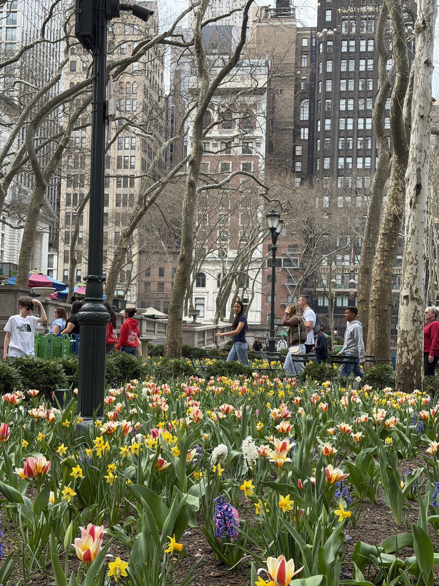 Bryant Park tweet media