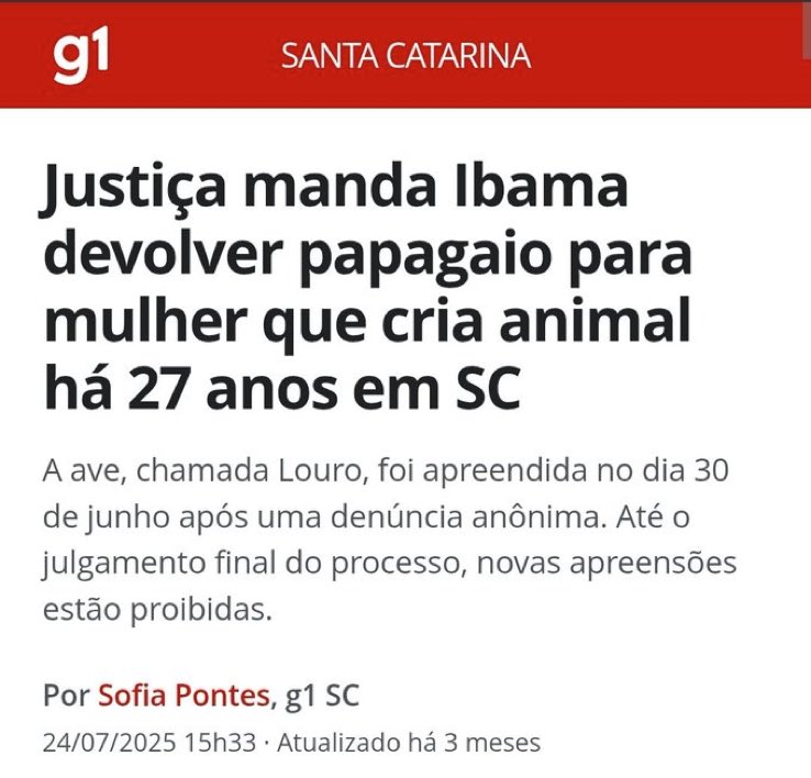 Democracia Viva🗯️ tweet media