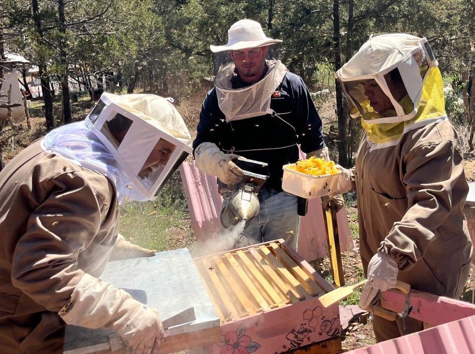 Somos MON tweet media