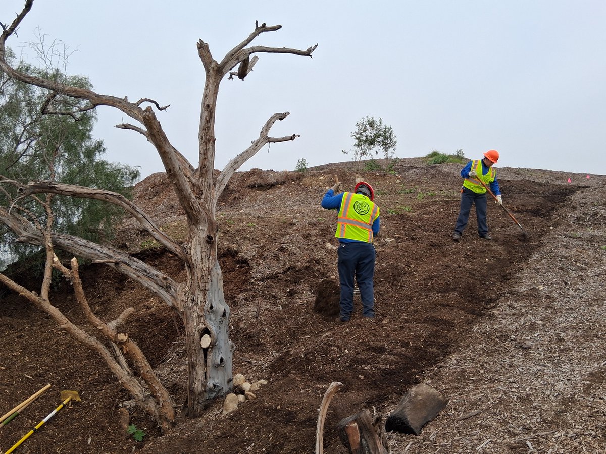California Association of Local Conservation Corps tweet media
