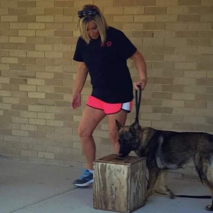 St. Luke's Health tweet media