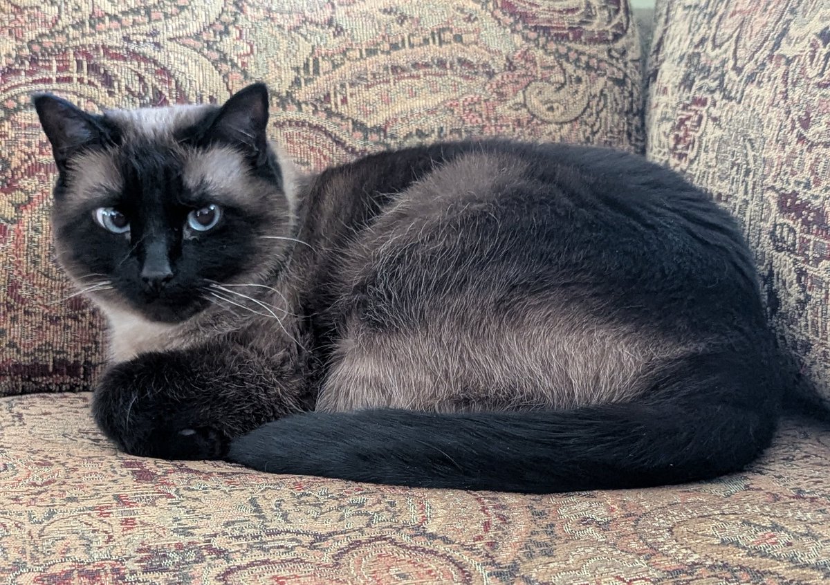 Forest Mommy🌲🗡💪🏹🌲🌲 tweet media