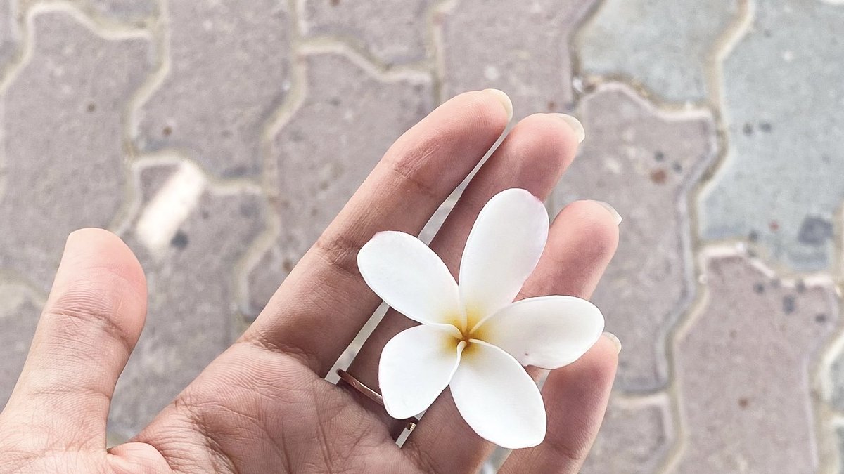 مَـرام علي tweet media